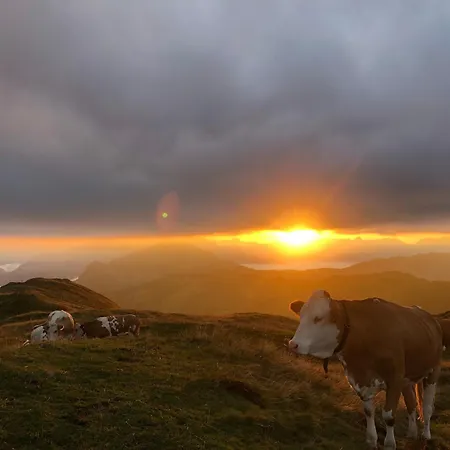 Boutique Bergliebe, In-out Lägenhetshotell Saalbach-Hinterglemm
