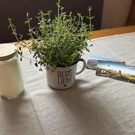 Aparthotel Boutique Bergliebe, In-out