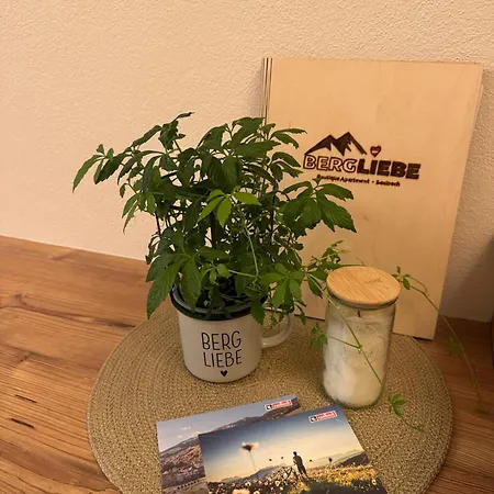 Boutique Bergliebe, In-out 3* Saalbach-Hinterglemm