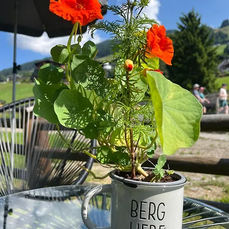 Boutique Bergliebe, In-out